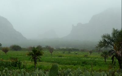 8: Visitem la comunitat indígena de Kapinawá