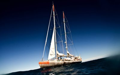 1: Un viatge al cor de l'oceà