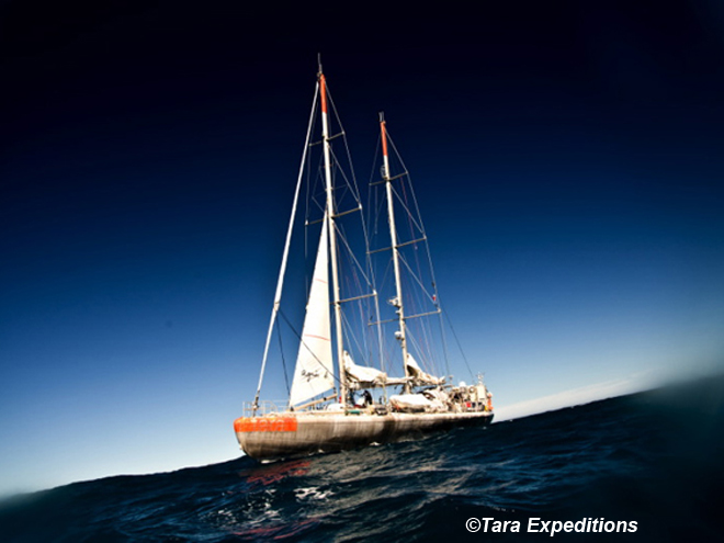 Tara-boat-expeditions_Un viatge al cor de l'oceà