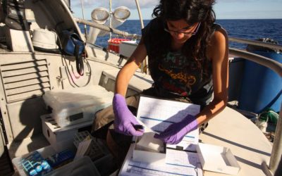 4: Primeres impressions a bord