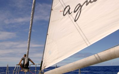 8: Els herois de la sala de màquines