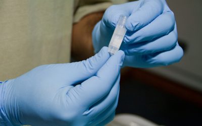 13: La vida d'una mostra d'aigua de mar