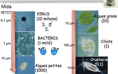 15: La biodiversitat invisible que Darwin no va poder veure