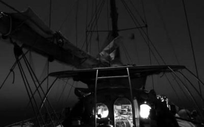 18: L'oceà, refugi dels solitaris