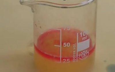 La col llombarda com a indicador de pH