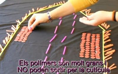 Representació química dels tints pel cabell