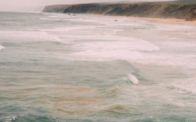 19: De retorn a casa