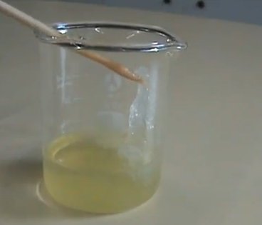 Extracció de l’ADN del kiwi