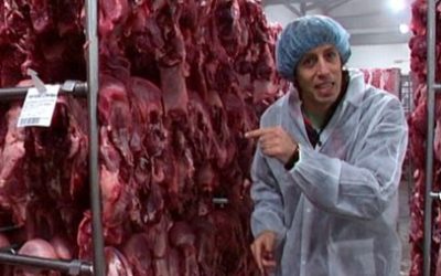 QuèQuiCom: Història d'una llonganissa