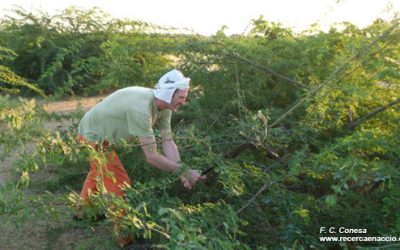 8: Comencem l'excavació a Vaharvo Timbo