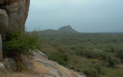 12: Com era el medi ambient a Vaharvo Timbo en temps dels últims caçadors-recol·lectors?