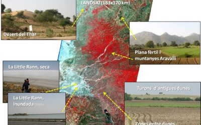 13: El Gujarat des de l'espai