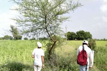 15: A la recerca de plantes antigues: com es fa una col·lecció de referència?