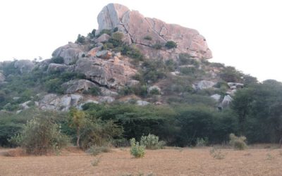 17: Posant-nos al dia