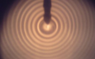 6: Poblacions en moviment