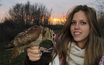 44. Què és pitjor, travessar el Sàhara o el Mediterrani? (2012)