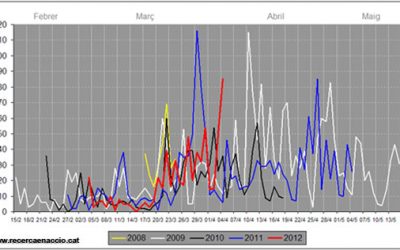 52. Imminent arribada d’aus migradores a Catalunya (2012)