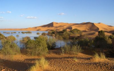 58. La clau de la migració és a l’Àfrica del nord (2012)