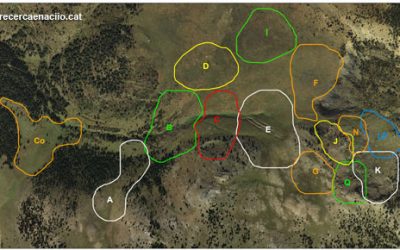 3: Us presentem les "nostres" marmotes