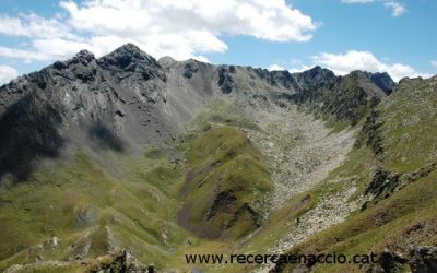8: L’extraordinària flora del Pirineu