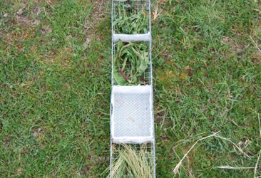 16: Dieta de les Marmotes