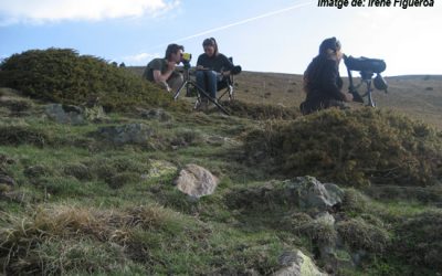 15: Com es mouen les marmotes?