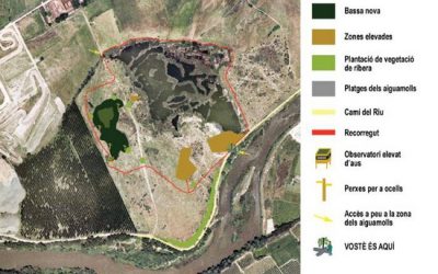 Aiguamolls de Rufea (Lleida)