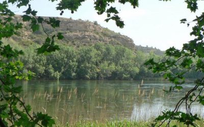 Centre d’Interpretació del Bosc de Ribera (Aldover, Baix Ebre)