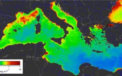 2: L’eutrofització, o quan l’enriquiment és un problema
