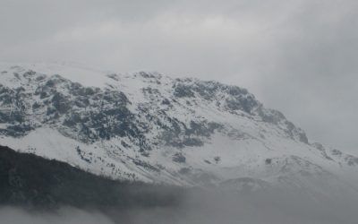 Per què és blanca la neu?