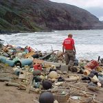 17: El problema dels plàstics al mar