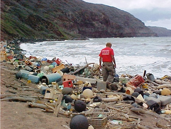 Residus plàstics a una platja de Hawaii