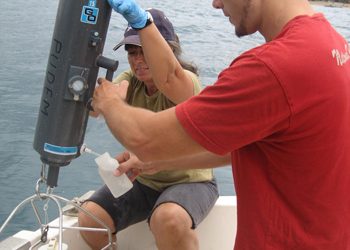 18: Els plans de vigilància ambiental