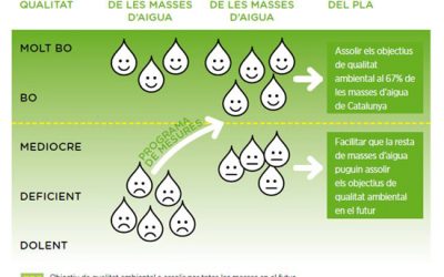 19: La directiva europea de qualitat de les aigües