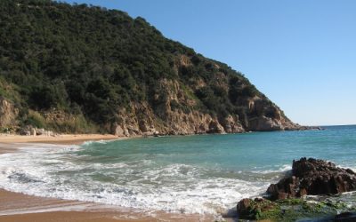 21:  “Com està el mar?”