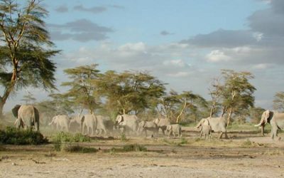 Els Enigmes de Tanzània ja tenen solució i guanyadors