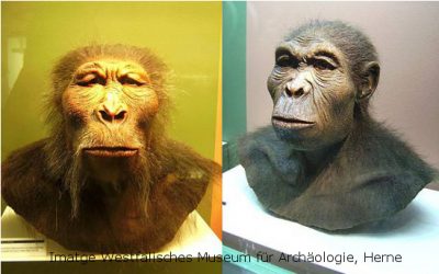 7: Arqueologia a la gorja d’Oldupai