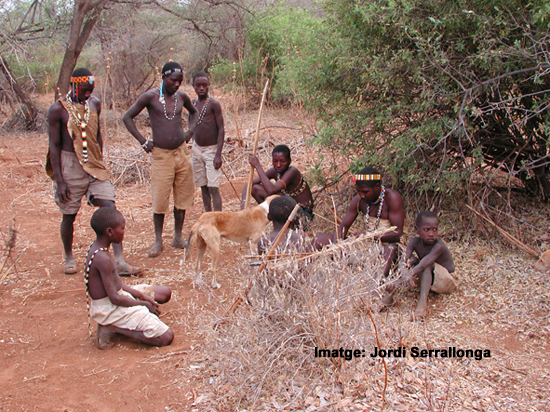 Grup de caçadors-recol•lectors Hadzabe moments abans d’una partida de cacera (llac Eyasi, Tanzània)
