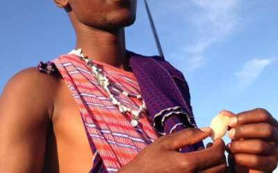 11: Resultats de l’expedició