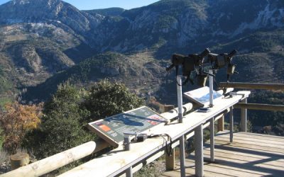 Observació de voltors a Alinyà