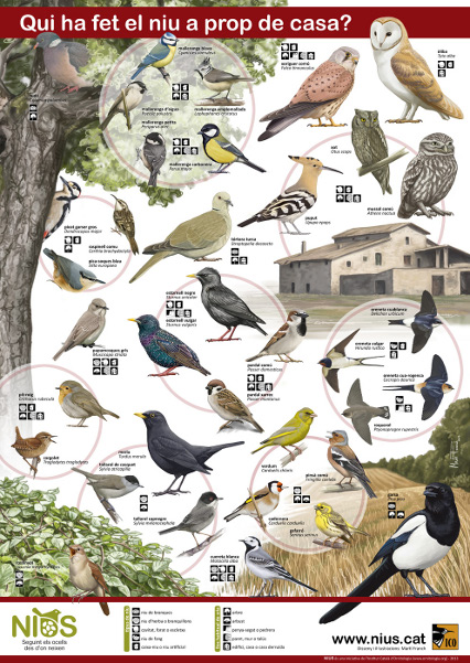 2.- Perquè seguim la nidificació dels ocells?