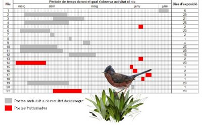 5.- Com podem saber si la cria és un èxit?