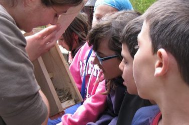 7.- Seguim nius des de l’escola!