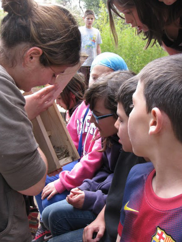 7.- Seguim nius des de l’escola!