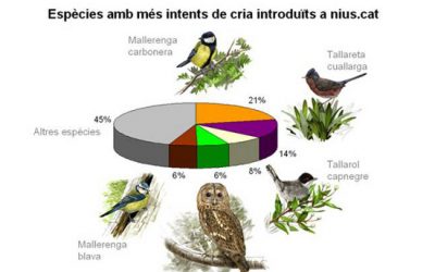 8.- Ja heu entrat les vostres observacions de nius?