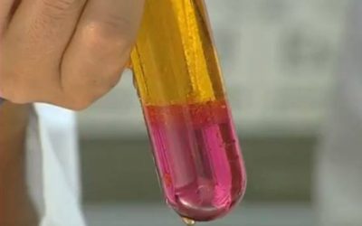 El color dels halògens