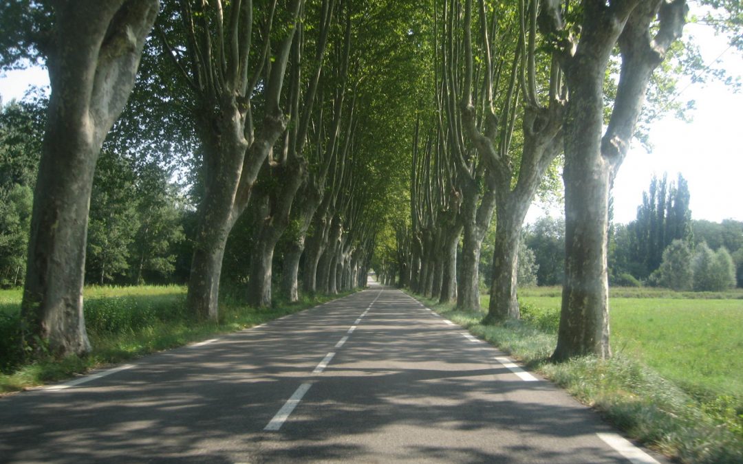 Afecten els cotxes l’escalfament de la Terra?