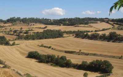 2: Indicadors de sostenibilitat: la petjada ecològica