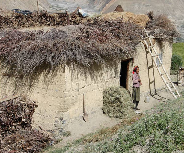 Energia, edificis i materials, d’Haití a Tailàndia