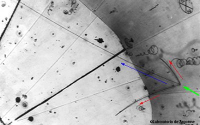 Què són els neutrins?